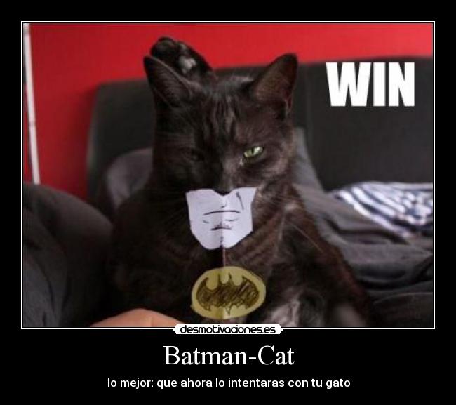 Batman-Cat - lo mejor: que ahora lo intentaras con tu gato