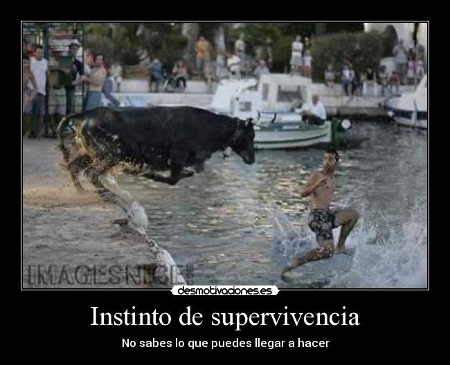 Instinto de supervivencia -