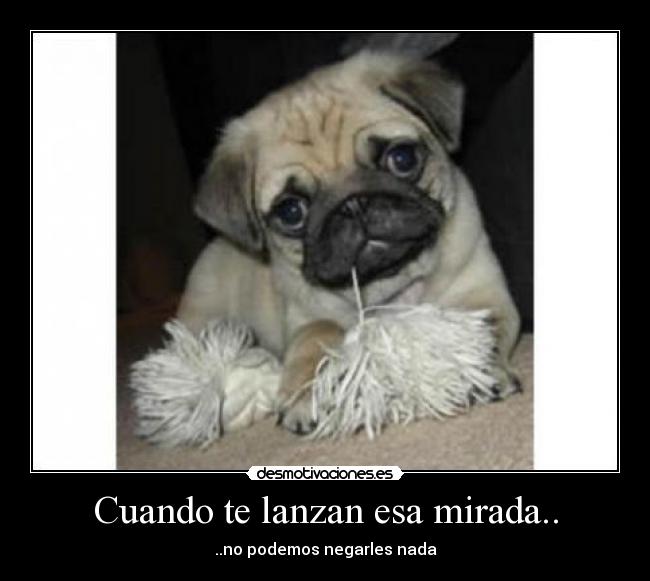 Cuando te lanzan esa mirada.. -