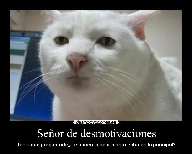 Señor de desmotivaciones - Tenía que preguntarle,¿Le hacen la pelota para estar en la principal?