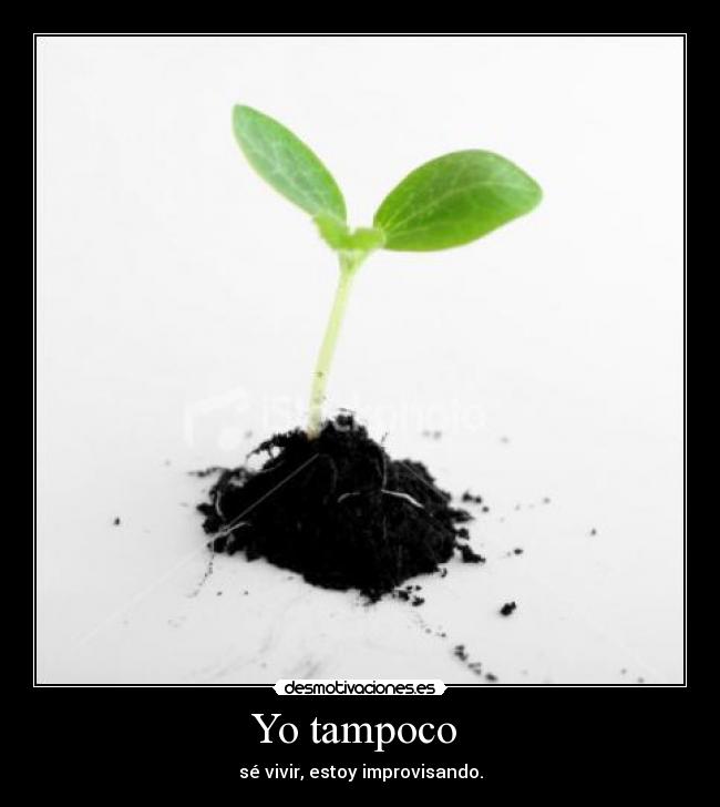 Yo tampoco - sé vivir, estoy improvisando.