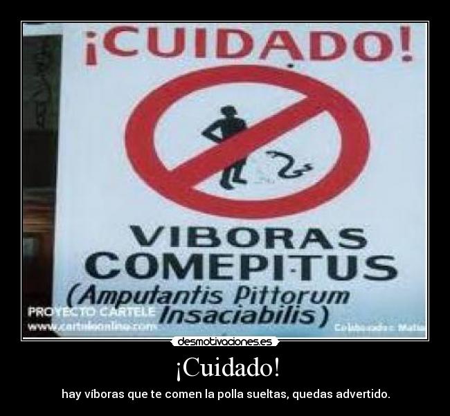 ¡Cuidado! - hay víboras que te comen la polla sueltas, quedas advertido.
