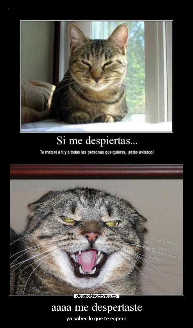 aaaa me despertaste -