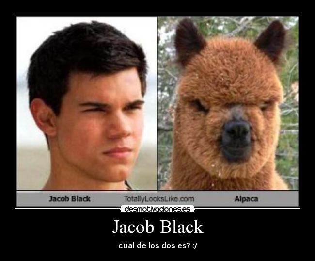 Jacob Black - cual de los dos es? :/