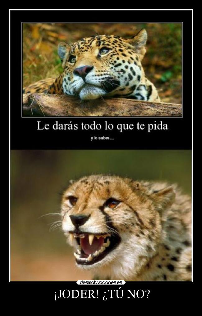 ¡JODER! ¿TÚ NO? -