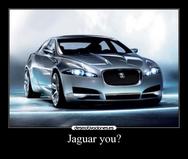 Jaguar you? - 