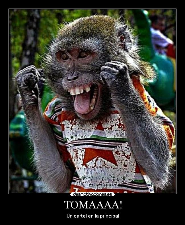 TOMAAAA! -