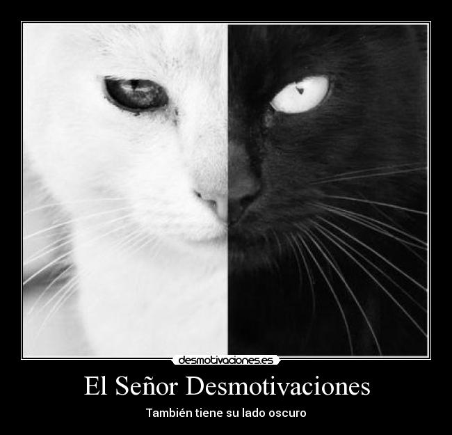 El Señor Desmotivaciones -