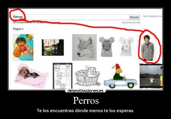 Perros -