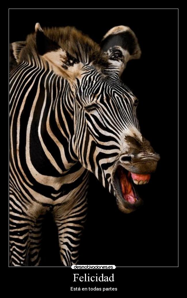 Felicidad - Está en todas partes