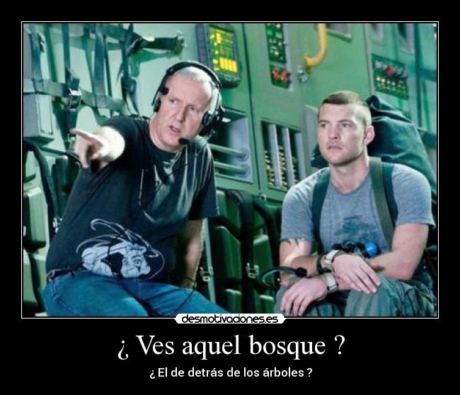 ¿ Ves aquel bosque ? - 