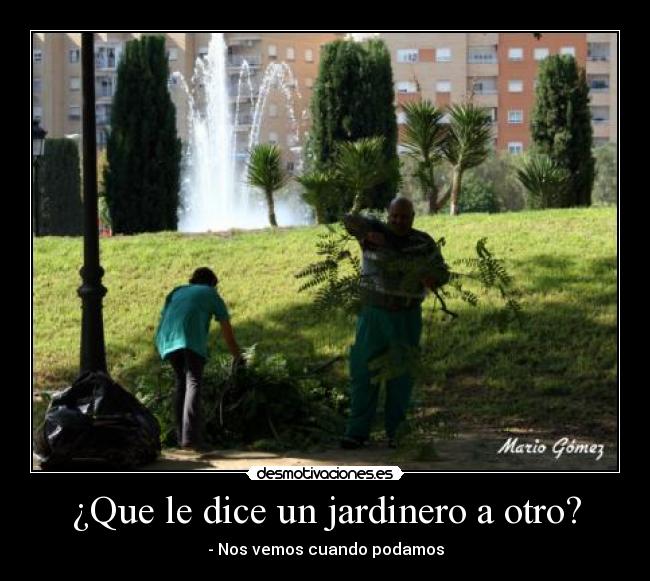 ¿Que le dice un jardinero a otro? -