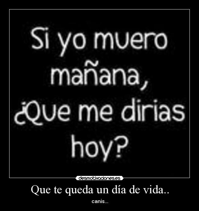 Que te queda un día de vida.. - canis...