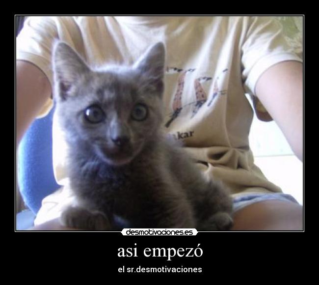 asi empezó - el sr.desmotivaciones