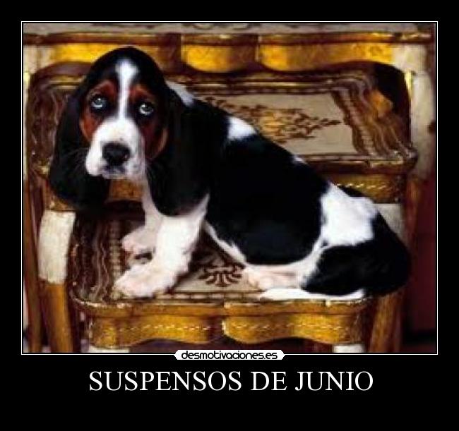 carteles suspensos junio desmotivaciones