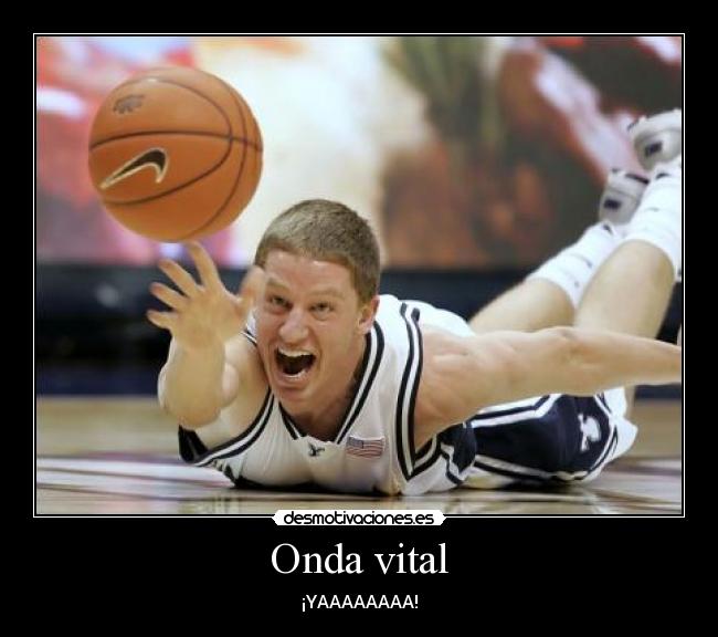 carteles onda vita desmotivaciones