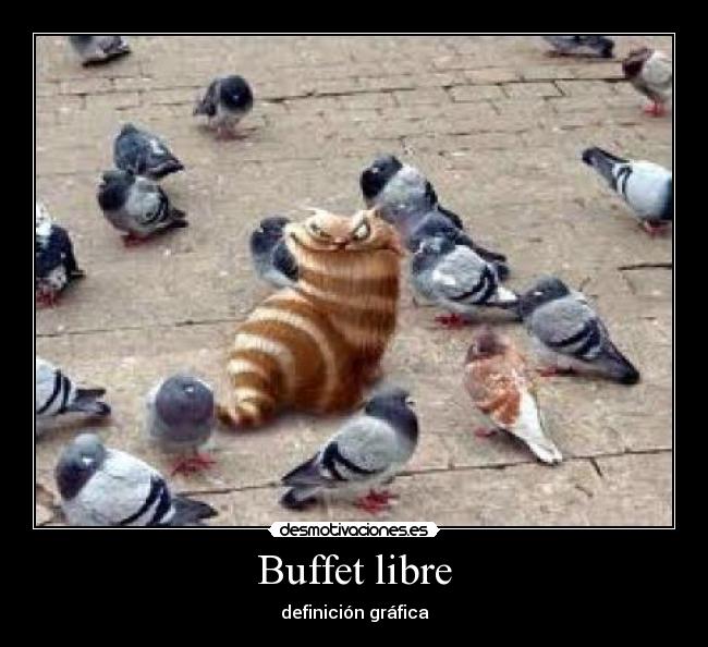 Buffet libre - definición gráfica