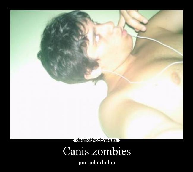 Canis zombies - por todos lados