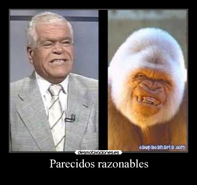 Parecidos razonables -
