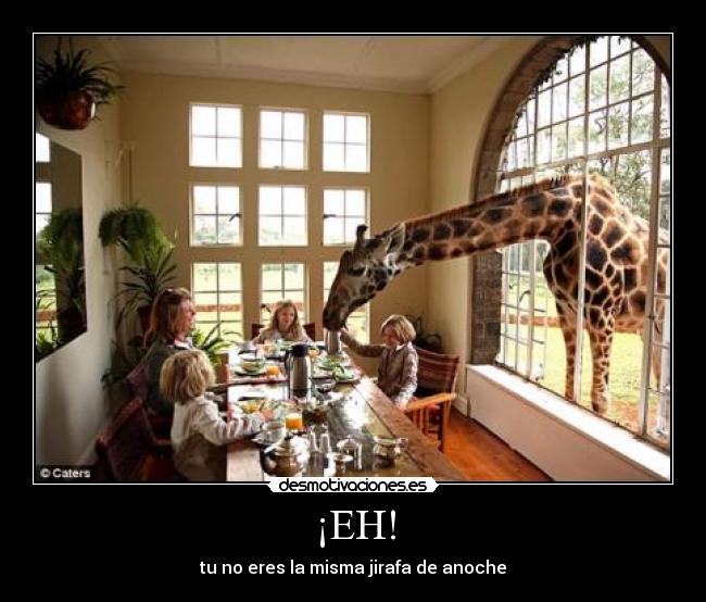 ¡EH! - tu no eres la misma jirafa de anoche