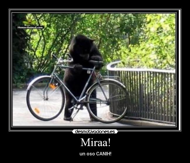 Miraa! -