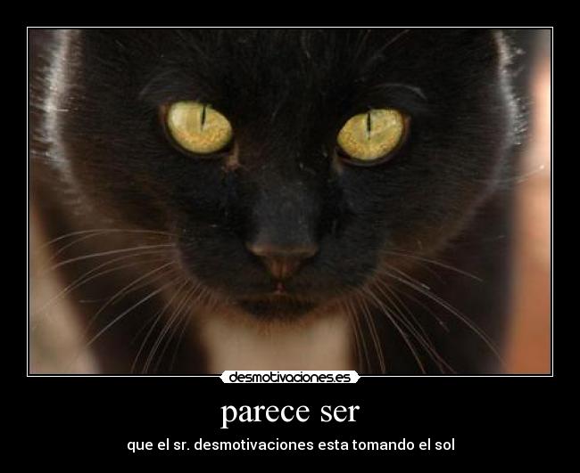 parece ser - que el sr. desmotivaciones esta tomando el sol