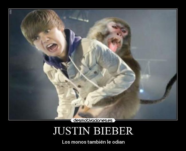 JUSTIN BIEBER - Los monos también le odian
