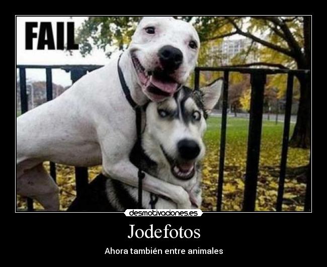 Jodefotos - Ahora también entre animales