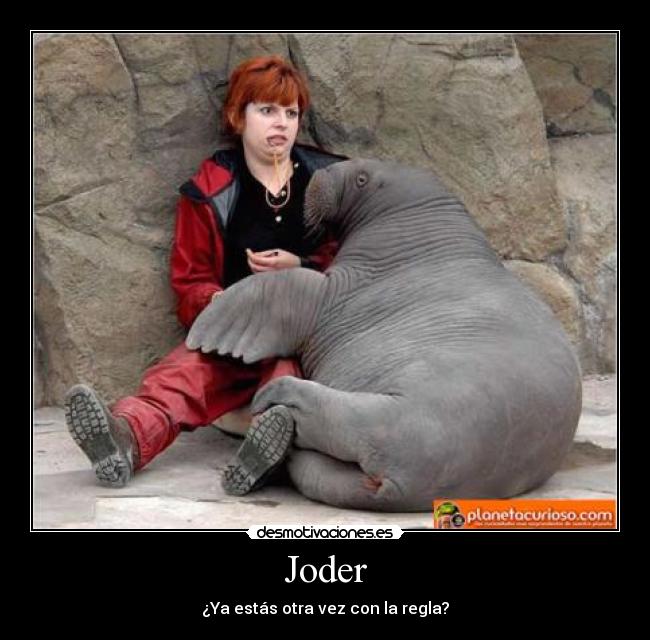 Joder - ¿Ya estás otra vez con la regla?