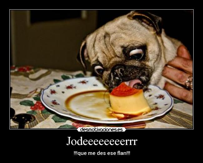 carteles joder flan perro ojon amperio desmotivaciones