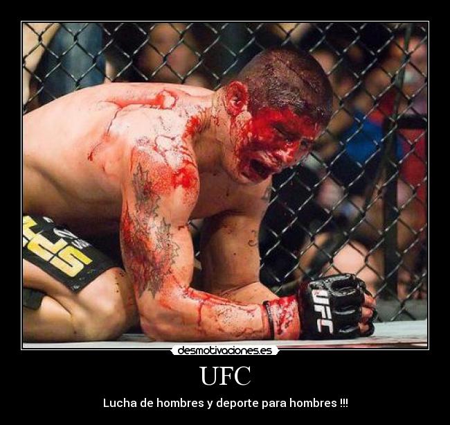 UFC - Lucha de hombres y deporte para hombres !!!