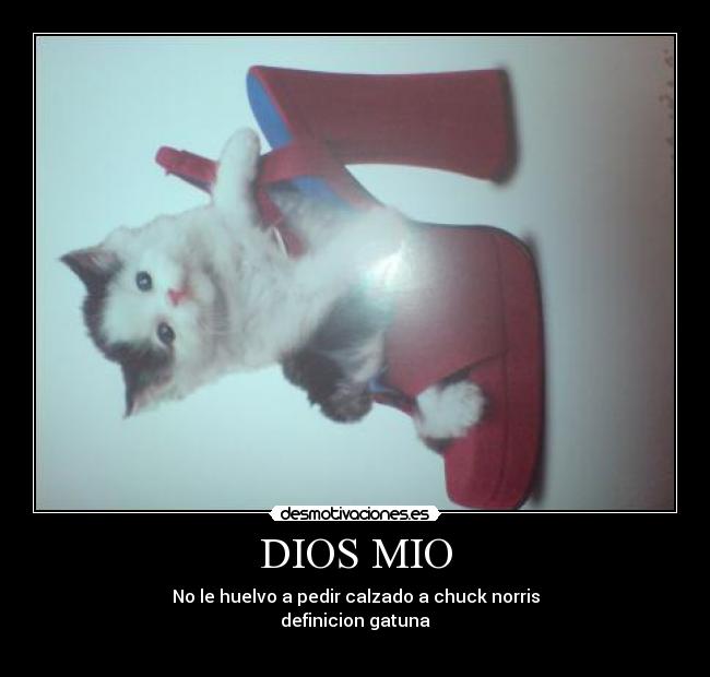 DIOS MIO -