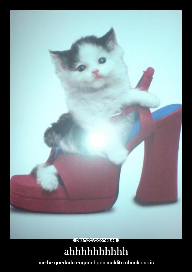 carteles jorgete desmotivaciones