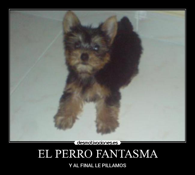 carteles jorgete desmotivaciones