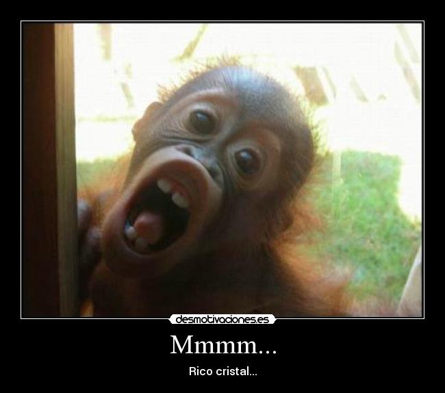 carteles aliraq desmotivaciones