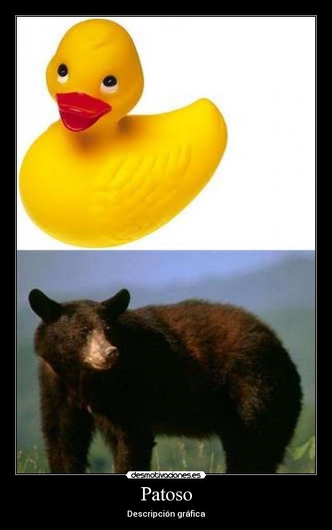 Patoso - 