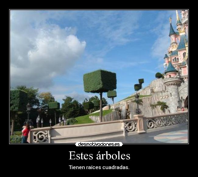 Estes árboles -