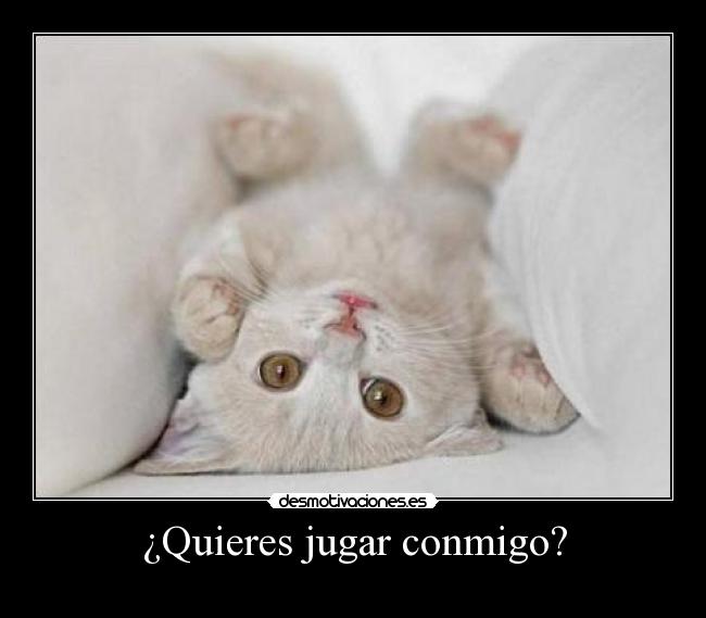 ¿Quieres jugar conmigo? -