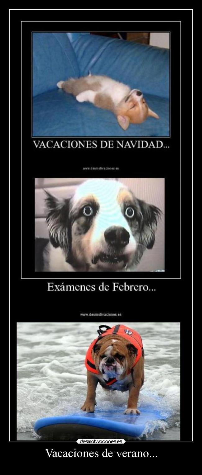 Vacaciones de verano... - 