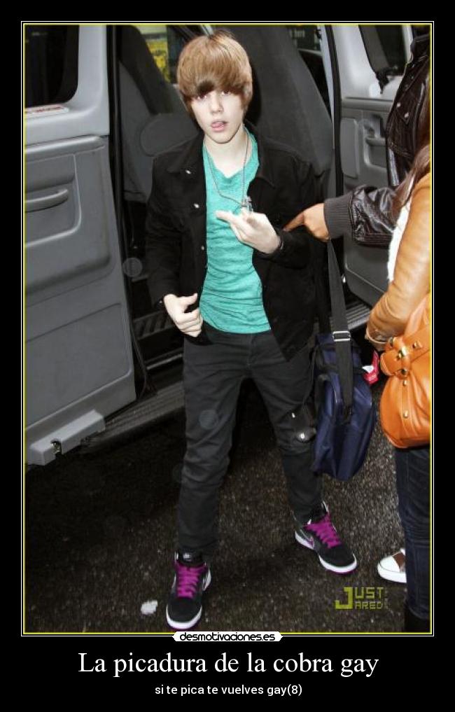 La picadura de la cobra gay - 