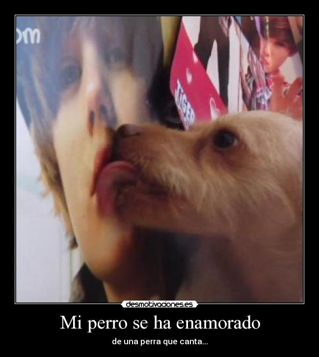 Mi perro se ha enamorado -