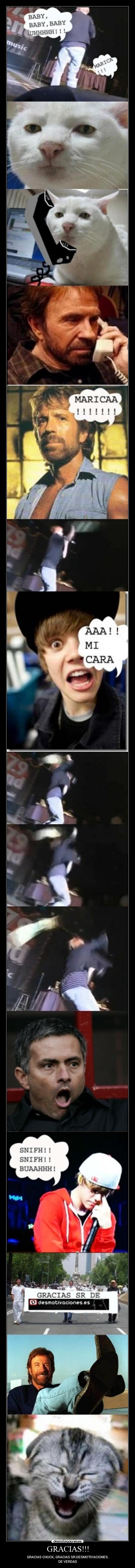 GRACIAS!!! - GRACIAS CHUCK, GRACIAS SR.DESMOTIVACIONES.
DE VERDAD