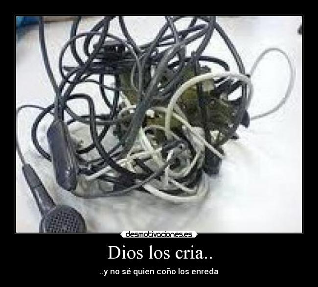 Dios los cria.. - ..y no sé quien coño los enreda