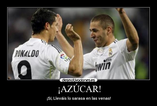 ¡AZÚCAR! - ¡Sí, Lleváis lo sarasa en las venas!