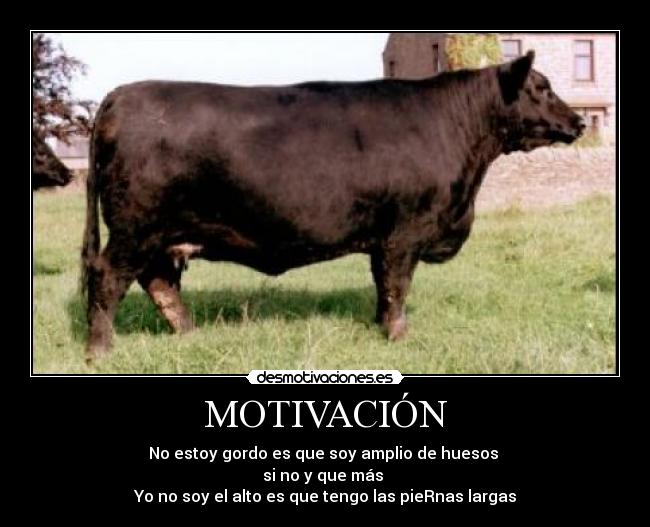 MOTIVACIÓN - No estoy gordo es que soy amplio de huesos 
si no y que más 
Yo no soy el alto es que tengo las pieRnas largas