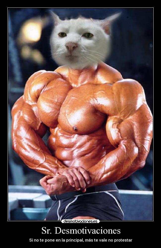 Sr. Desmotivaciones - Si no te pone en la principal, más te vale no protestar