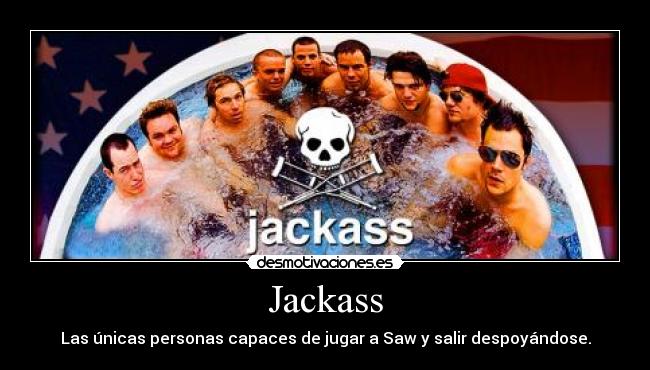 Jackass - 