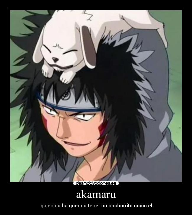 akamaru - quien no ha querido tener un cachorrito como él