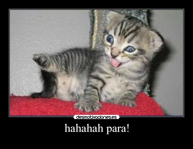 hahahah para! - 