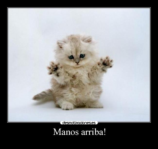 Manos arriba! - 